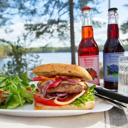Lomakeskus Tommolansalmi Suomenniemi